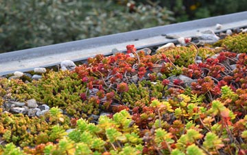 the cost of Sketchley green roof installation