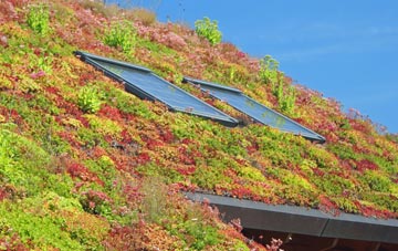 Sketchley living roof systems