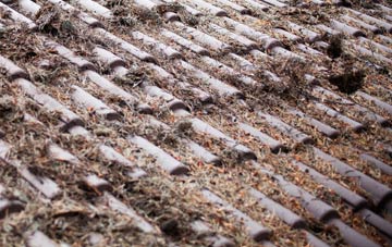 Sketchley roof cleaning companies