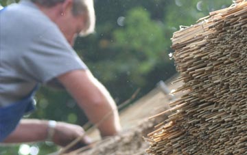 professional Sketchley thatchers