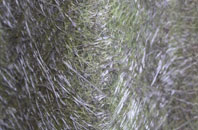 Sketchley fibreglass roof work